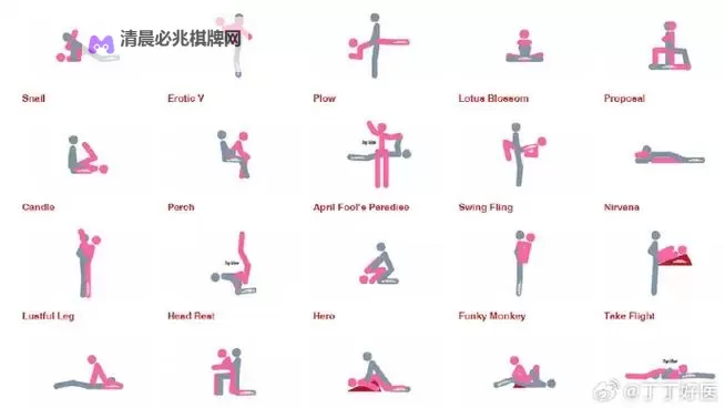 掌握健身秘诀:最全的正确姿势教程视频大全推荐图1