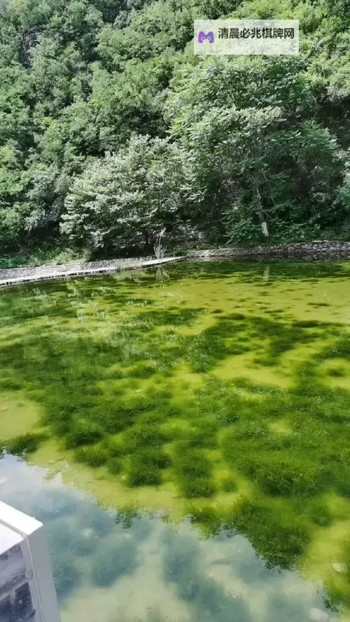 轩辕剑群侠录双开挂机软件推荐  怎么双开轩辕剑群侠录详细图文教程图1