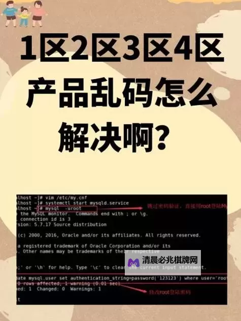 解决中文字字幕11页中文乱码的实用方法与技巧图2