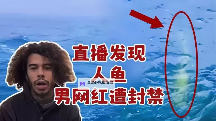 探索多元文化:新兴男男直播平台的崛起与发展图1