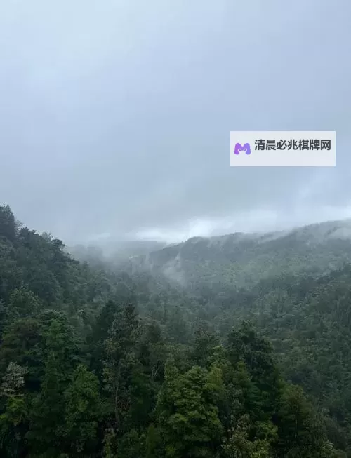 水莓100高清免费视频:最新高清资源解析与分享图1