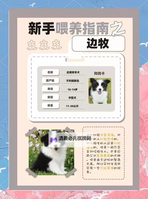 《小富婆》牧养攻略:动物类型&牧养玩法介绍图1