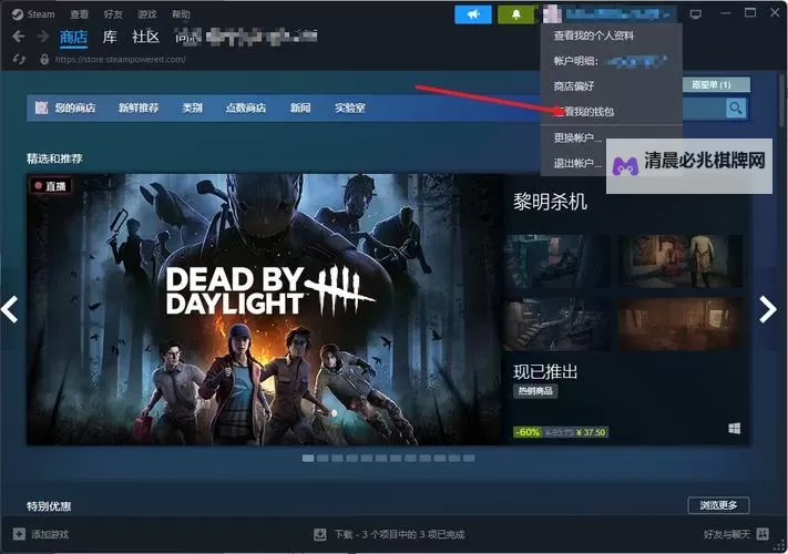 Steam Subid是什么意思 Steam跨服买游戏注意事项图1