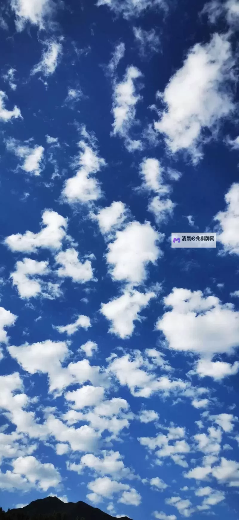 ww w5g天天看爽:每日必看清单,精彩不断图1