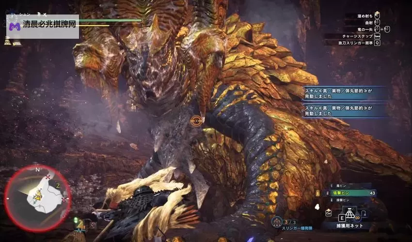 《怪物猎人世界》烂辉龙打法经验 烂辉龙怎么打图1