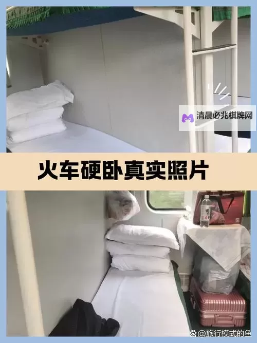 破案笔记:长途车卧铺最后一排很黄背后的谜团图1