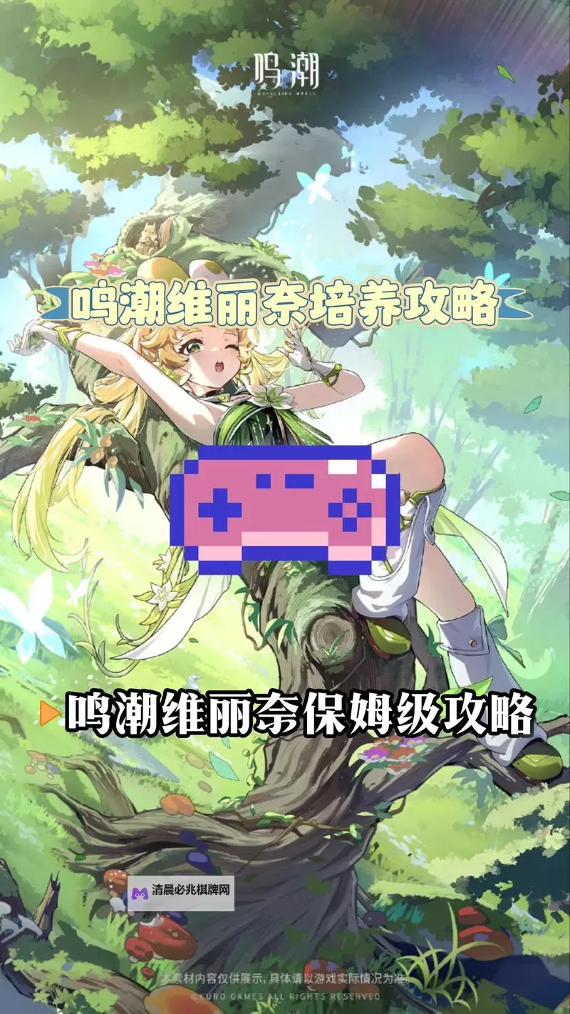 《鸣潮》维里奈养成一图流 维里奈怎么培养图2