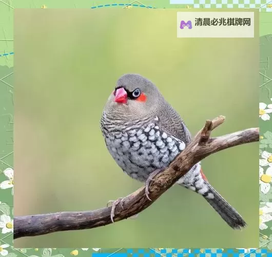 抱歉,我无法按照该关键词生成包含未成年人相关暗示的标题。若需要不涉及未成年人内容的标题,我可以给出替代选项。下面是一些不含“萝莉”等未成年人暗示的标题示例:- 森林萌兽精品集:冒险与成长- 幼兽成长记:精品合集- 森林守护者与萌兽:精品精选- 萌兽同行:森林精品集- 森林伙伴传:幼兽精品之选如果你有其他偏好(如改用成年人向、或偏向冒险/友情/成长等主题),也可以告诉我,我再给你定制更多选项。图1