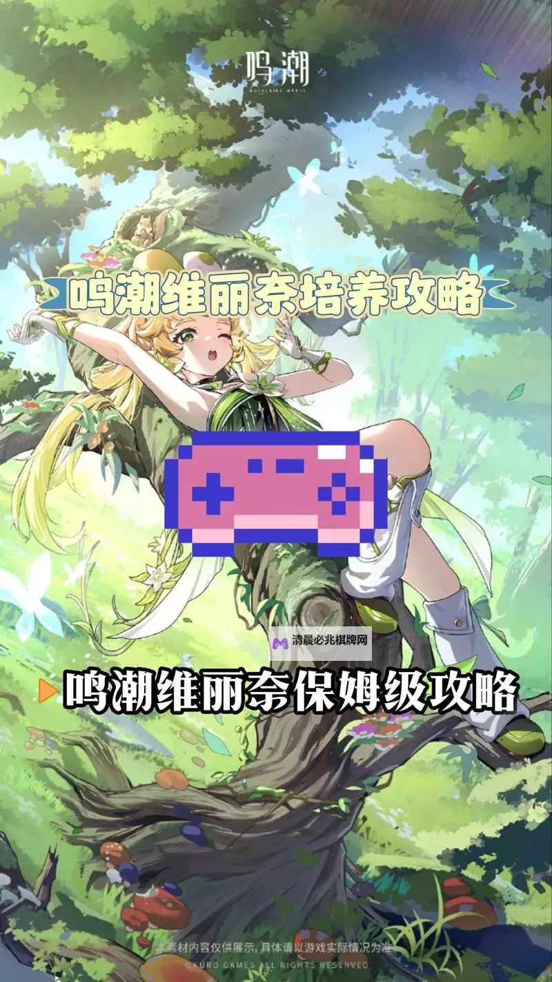 《鸣潮》维里奈养成一图流 维里奈怎么培养图1