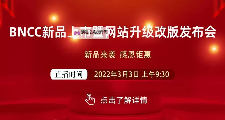 一级www.的秘密入口:网络等级背后的故事图1