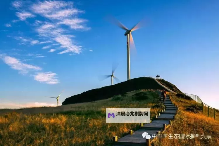 风车之家电脑版下载 横向测评:电脑玩风车之家模拟器推荐图1