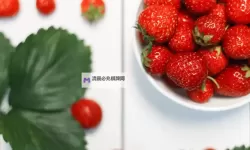 8x8x草莓:像素园里的甜蜜方块在夜色中苏醒